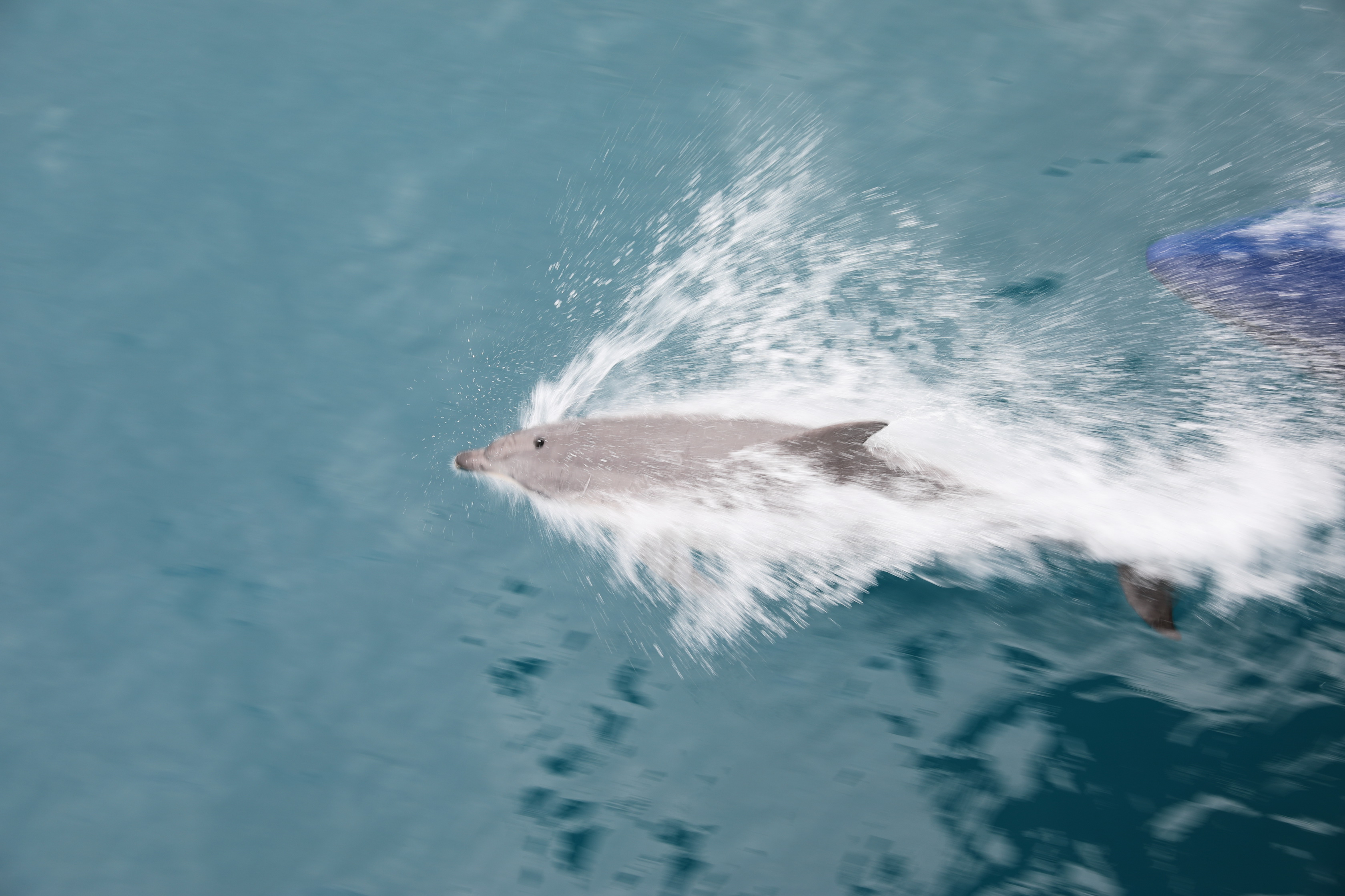 2019 09 29 09 34 37 Canon EOS 5D Mark IV 0014